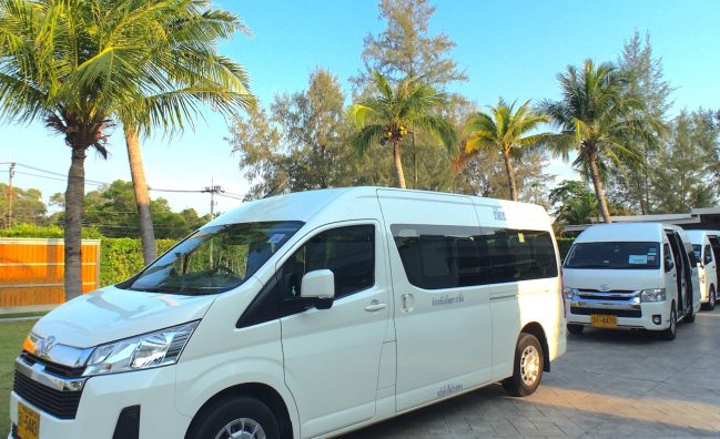 Private Luxor Airport Transfer to East Bank | 1–3 Guests