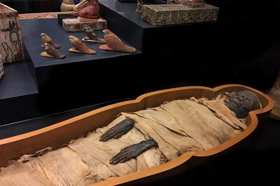 Luxor Museum & Mummification Museum